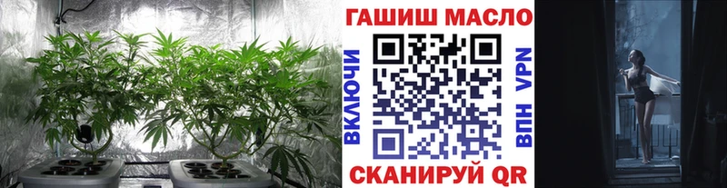 blacksprut как войти  Болхов  ТГК THC oil 