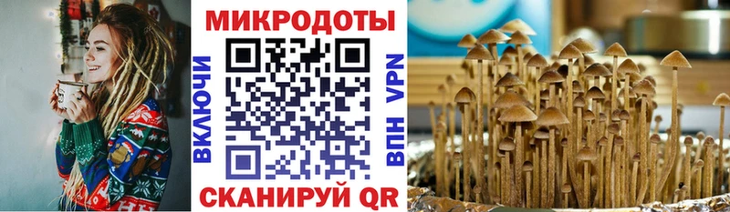 Галлюциногенные грибы Cubensis  купить   Болхов 